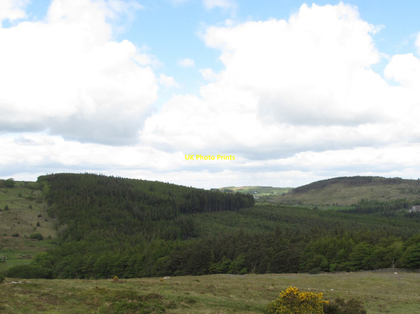 Photo 6"x4" The New Park section of the Tollymore Forest Park Newcastle\/J3732 c2015