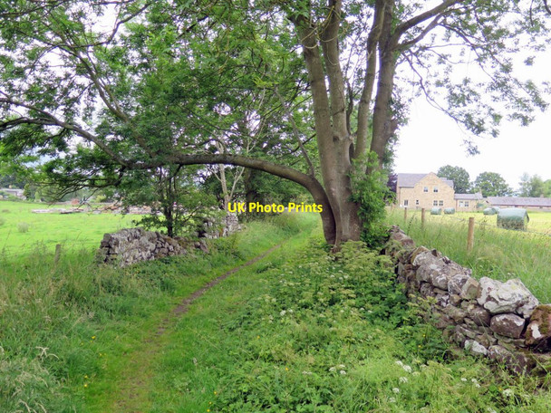 Photo 6"x4" Old lane north of Humshaugh Humshaugh c2015
