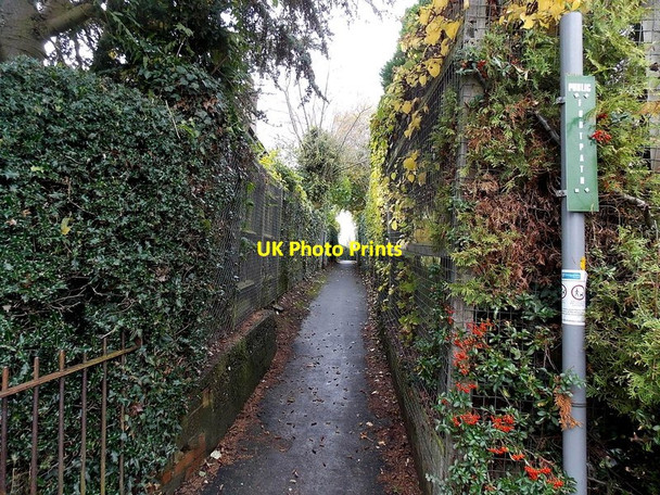 Photo 6"x4" Public footpath between hedges, Weston Rhyn Chirk Bank c2014