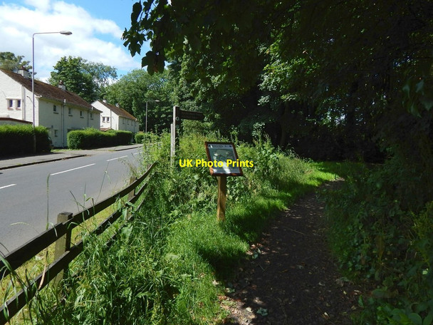 Photo 6"x4" Entrance to Duchess Wood Helensburgh c2015