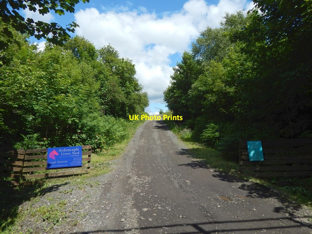 Photo 6"x4" Track to Ardencaple Farm Helensburgh c2015