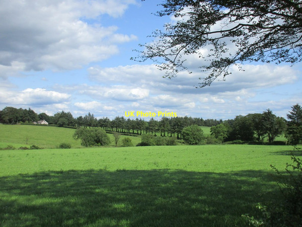 Photo 6"x4" Near Purdomstone Middlebie c2015