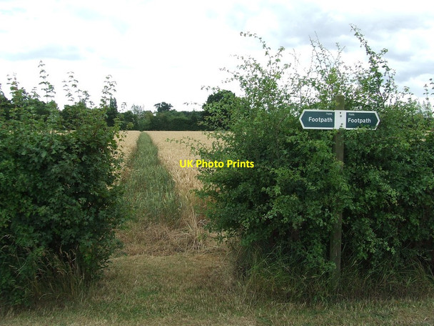 Photo 6"x4" Footpath And Sign Middleton Moor\/TM4167 c2015