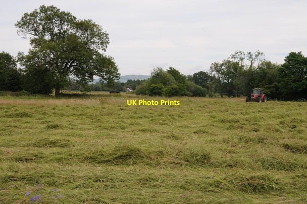 Photo 6"x4" Mowing grass Baughton c2015