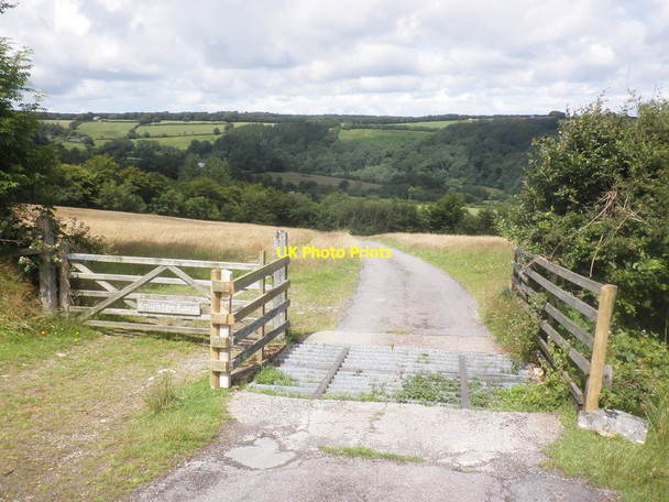 Photo 6"x4" Track to Knighton Farm Withypool c2015