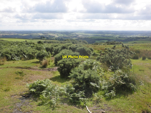 Photo 6"x4" Twitchen Common West Anstey c2015