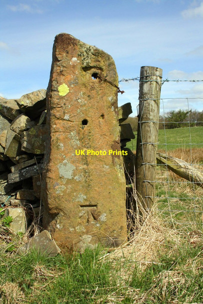 Photo 6"x4" Benchmark on gatepost at road bend east of Lambert Ash Beck Foot\/SD6196 c2015