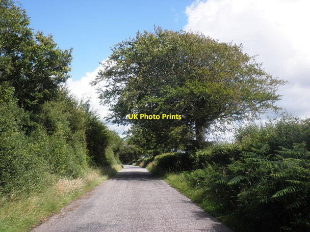 Photo 6"x4" Ridge Road Waddicombe c2015