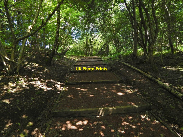Photo 6"x4" Path to Cochno Road Bearsden c2015