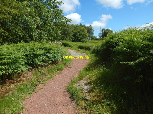 Photo 6"x4" Path to Craigton Bearsden c2015