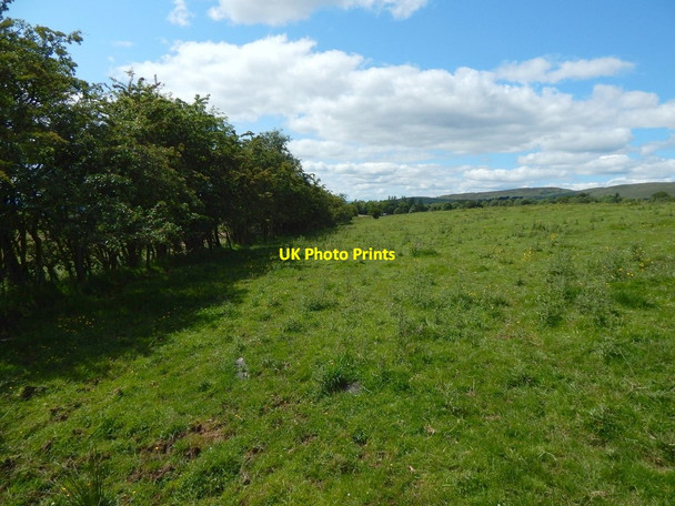 Photo 6"x4" Field boundary Bearsden c2015