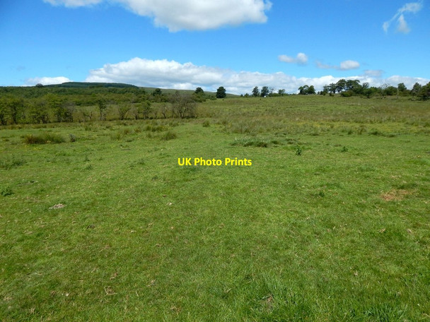 Photo 6"x4" Path to Craigton Bearsden c2015
