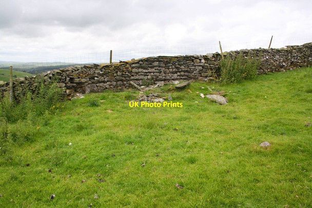 Photo 6"x4" Remains of small building in field on NW side of Goat Lane Stainforth\/SD8267 c2015
