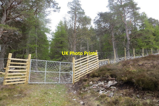 Photo 6"x4" Gate and fence, Big Wood Trinafour c2015