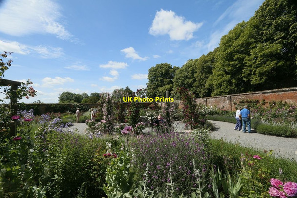 Photo 6"x4" The Rose Garden Lower Brook c2015