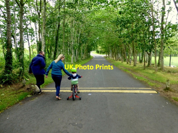 Photo 6"x4" Avenue, Tannaghmore Gardens Craigavon c2015