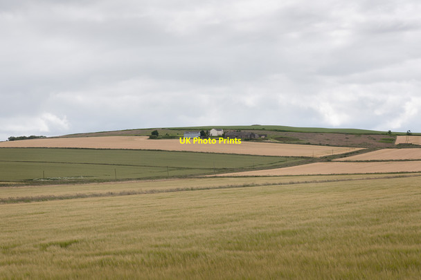 Photo 6"x4" Fields below Upper Craighill Arbuthnott c2015