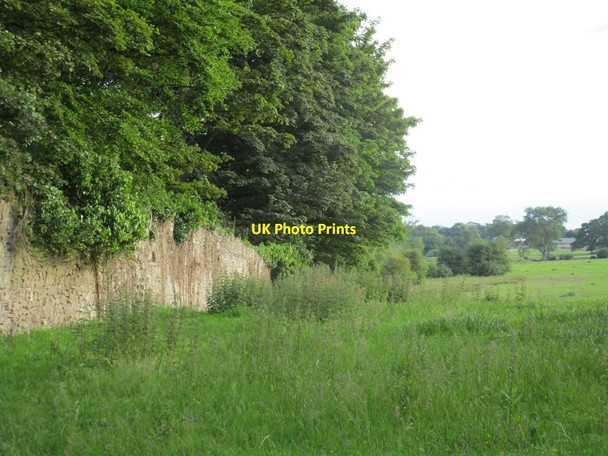 Photo 6"x4" Boundary Wall, Birr Demesne Birr c2015