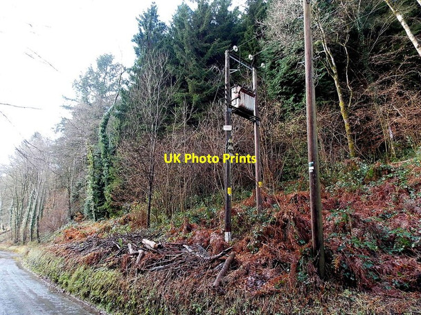 Photo 6"x4" Rural electricity substation opposite Ravensnest Ponds The Cot c2014