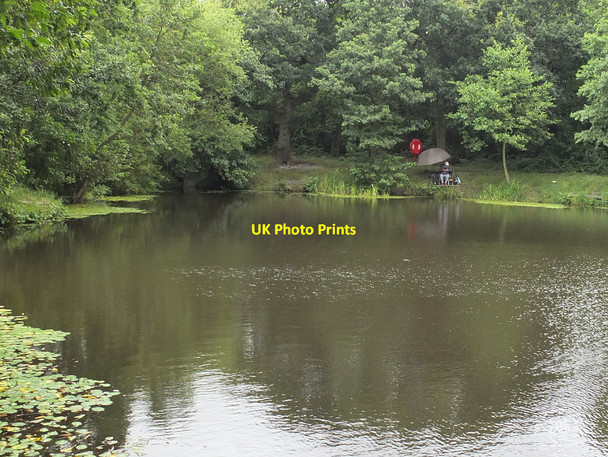 Photo 6"x4" Eddleston Waters between Rainford Road and Birchley Wood, Billinge Billinge c2015