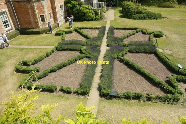 Photo 6"x4" Looking down on the Lavender bed Mottisfont c2015