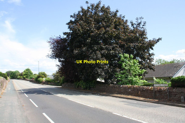 Photo 6"x4" Carleton Road at Winter's Park Penrith c2015