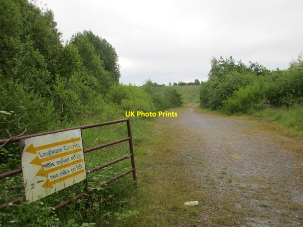 Photo 6"x4" Entrance to former quarry Birr c2015