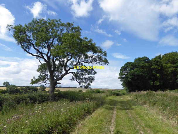 Photo 6"x4" Leeds country way Wike c2015