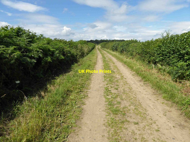Photo 6"x4" Leeds country way Wike c2015 P1