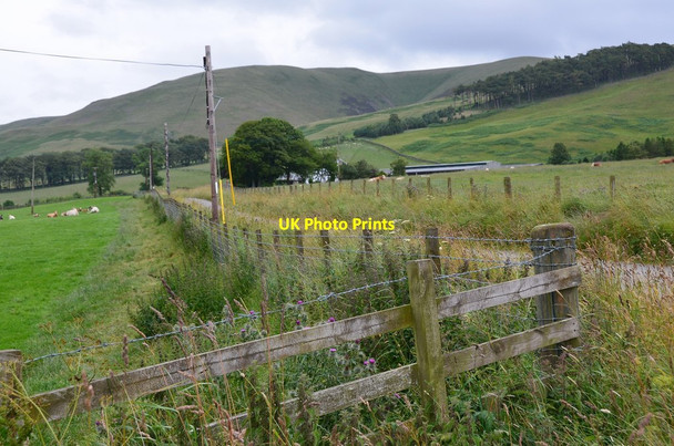 Photo 6"x4" Road to Boreland farm Eddleston c2015