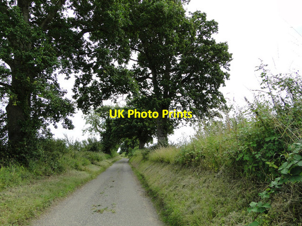 Photo 6"x4" Verges neatly trimmed in Watery Lane, Matlaske Matlaske c2015