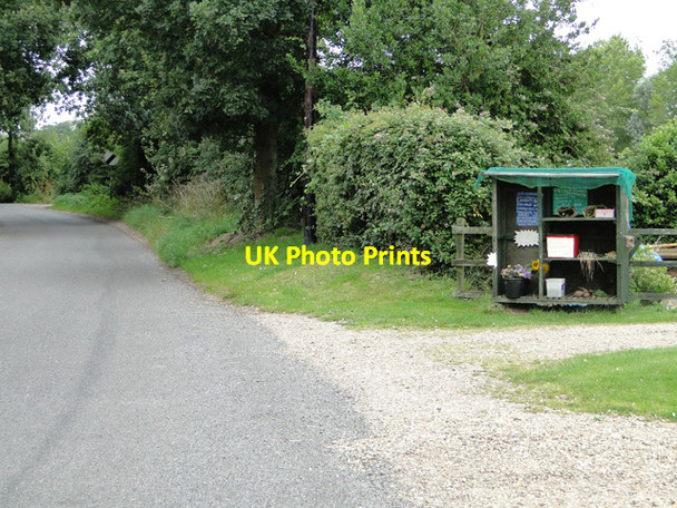 Photo 6"x4" Honesty stall on the Colby road at Banningham Banningham c2015