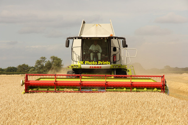 Photo 6"x4" Barley harvest Harby\/SK8770 c2015