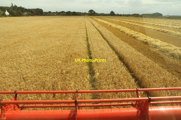 Photo 6"x4" Barley harvest Harby\/SK8770 c2015 P1
