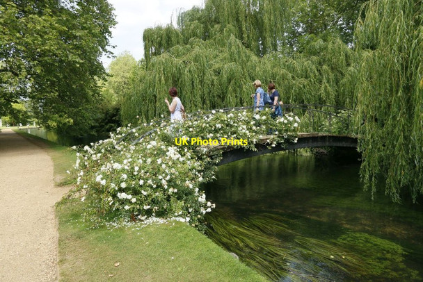 Photo 6"x4" Roses on the Bridge Mottisfont c2015