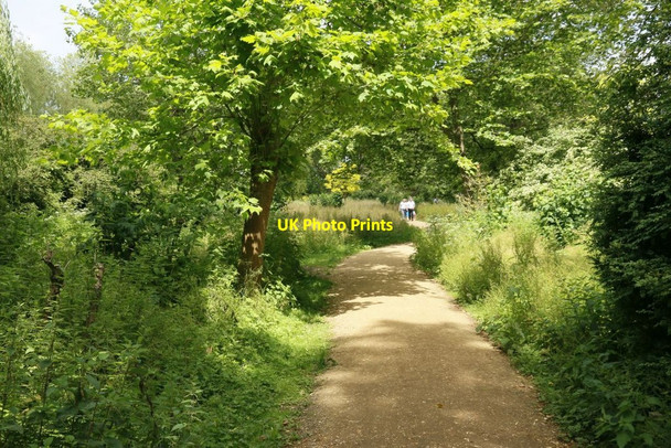 Photo 6"x4" Walk near the Stream Mottisfont c2015
