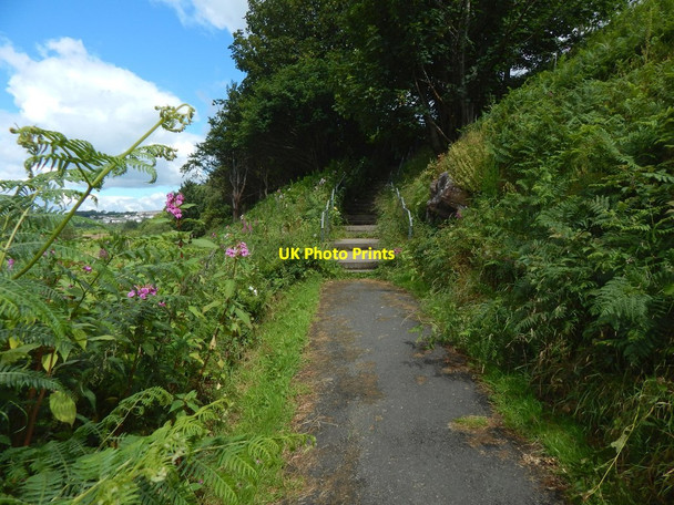 Photo 6"x4" Path to Brucehill Dumbarton c2015