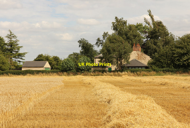 Photo 6"x4" Holly Tree Cottage Harby\/SK8770 c2015