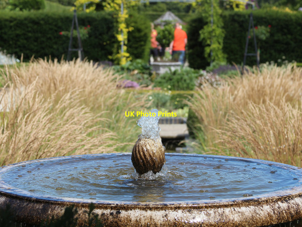 Photo 6"x4" Merriments gardens Hurst Green\/TQ7327 c2015 P1