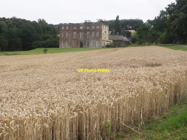 Photo 6"x4" Wheat field at Haswell Estate Goathurst c2015