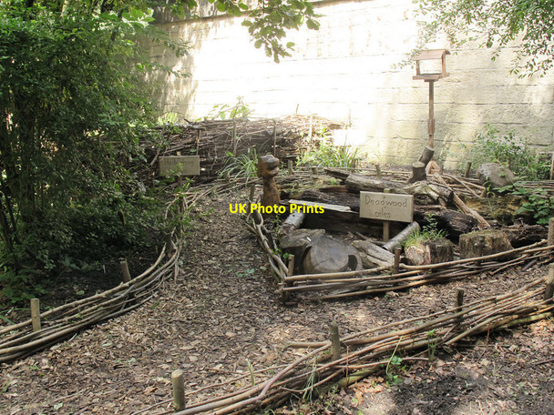 Photo 6"x4" Hollybush Conservation Centre: logpile Sandford\/SE2535 c2015