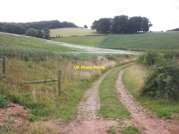 Photo 6"x4" Patcombe Farm Andersfield c2015