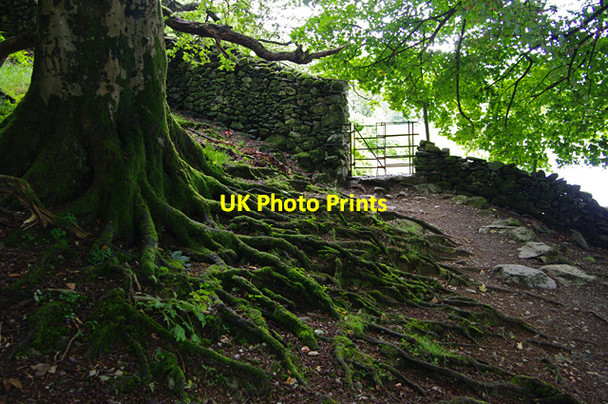 Photo 6"x4" Footpath, Rydal Water Ambleside c2015