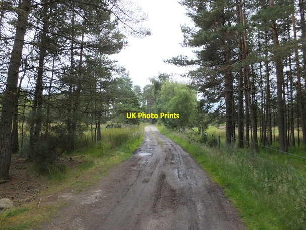 Photo 6"x4" Track to Beehive Croft Duncanston c2015