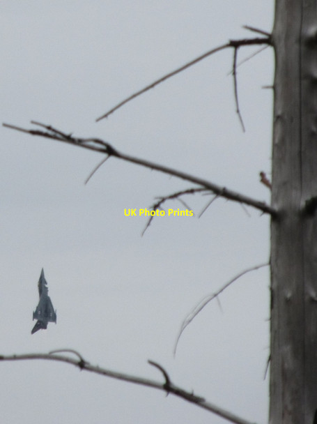 Photo 6"x4" A Tornado above Donard Wood Newcastle\/J3732 c2015