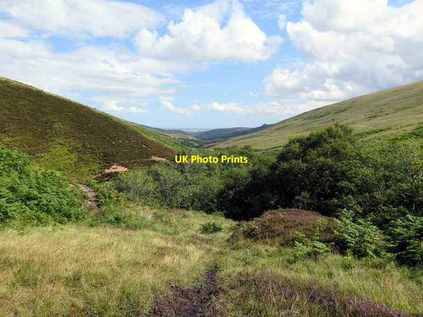 Photo 6"x4" Path along Harthope Burn Coldlaw Hope c2015