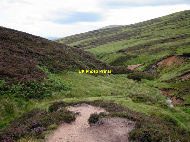 Photo 6"x4" Path in upper part of Harthope Burn Cairn Hill\/NT9019 c2015