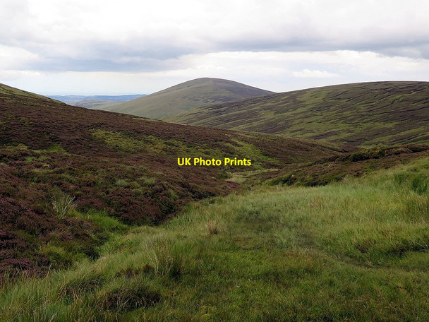 Photo 6"x4" Near source of Harthope Burn Cairn Hill\/NT9019 c2015