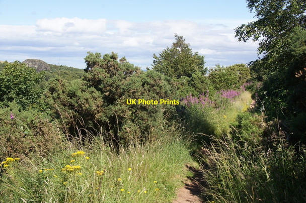 Photo 6"x4" Braid Hills footpath above Braid Hills Drive Morningside\/NT2471 c2015