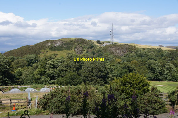 Photo 6"x4" Blackford Hill from the Braid Hills path Morningside\/NT2471 c2015